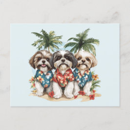 Cartão Postal Shih Tzu Dogs Vestindo camisas havaianas