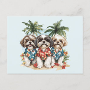 Cartão Postal Shih Tzu Dogs Vestindo camisas havaianas