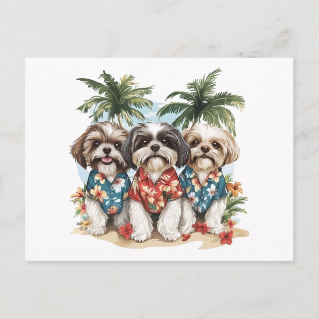 Cartão Postal Shih Tzu Dogs Vestindo camisas havaianas (Frente)
