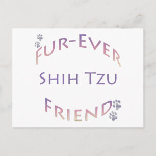 Cartão Postal Shih Tzu Fuere Friend