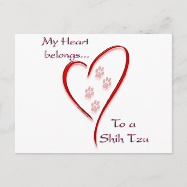 Cartão Postal Shih Tzu Heart Pertence (Frente)