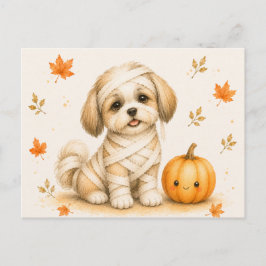 Cartão Postal Shih Tzu Múmia Halloween