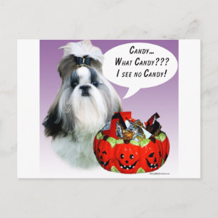 Cartão Postal Shih Tzu (ranzinza) Halloween Candy