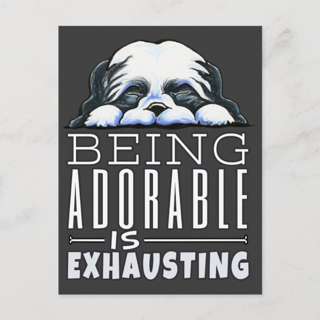 Cartão Postal Shih Tzu Sendo Adorável (Frente)