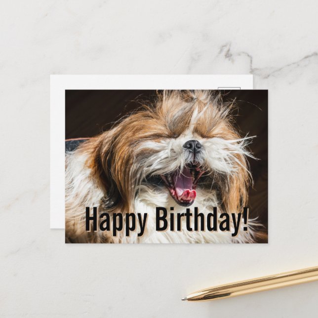 Cartão Postal Shih tzu yawning laughing funny Happy birthday  (Frente/Verso In Situ)