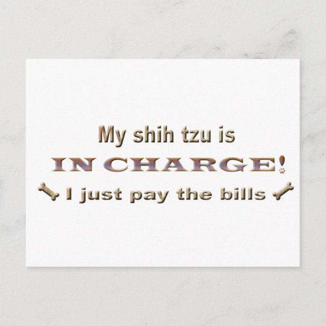 Cartão Postal shihtzu (Frente)