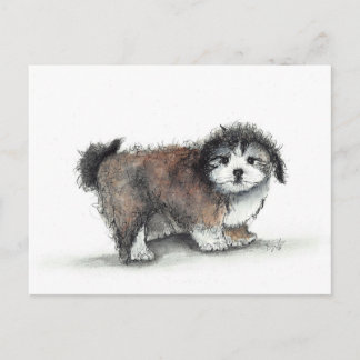 Cartão Postal Shihtzu Puppy Dog