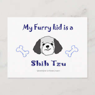 Cartão Postal ShihTzuGreyBranco