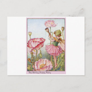 Cartão Postal Shirley Poppy Fairy