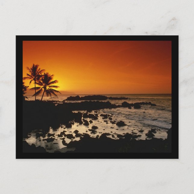 Cartão Postal Shore Oahu Hawaii (Frente)