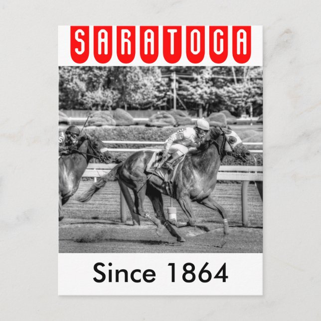 Cartão Postal Shrewd One de Smarty Jones (Frente)