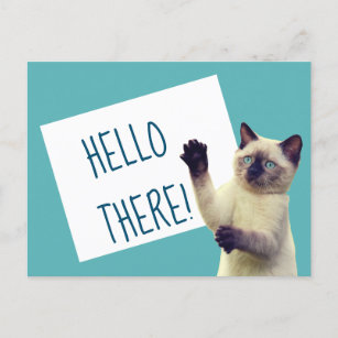 Cartão Postal Siamese Cat Hello Ali Mensagem Personalizada
