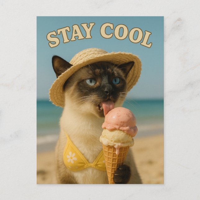 Cartão Postal Siamese Cat is licking ice cream stay cool  (Frente)