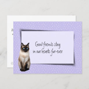 Cartão Postal Siamese Cat Pet Perda Do Veterinário
