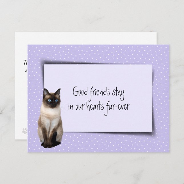 Cartão Postal Siamese Cat Pet Perda Do Veterinário (Frente/Verso)