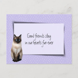 Cartão Postal Siamese Cat Pet Perda Do Veterinário