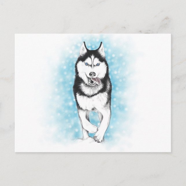 Cartão Postal Siberian Husky (Frente)