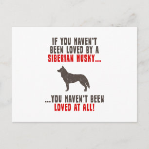 Cartão Postal Siberian Husky