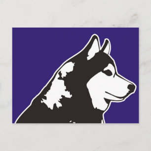 Cartão Postal Siberian Husky