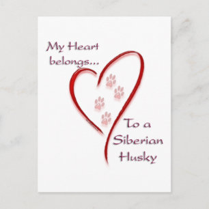 Cartão Postal Siberian Husky Hearts Pertence