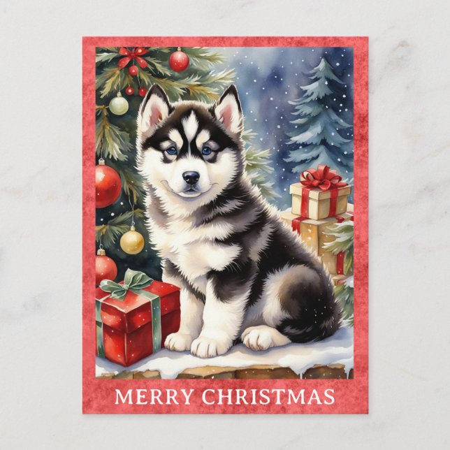 Cartão Postal Siberian Husky Merry Christmas Cachorro Cachorro C (Frente)