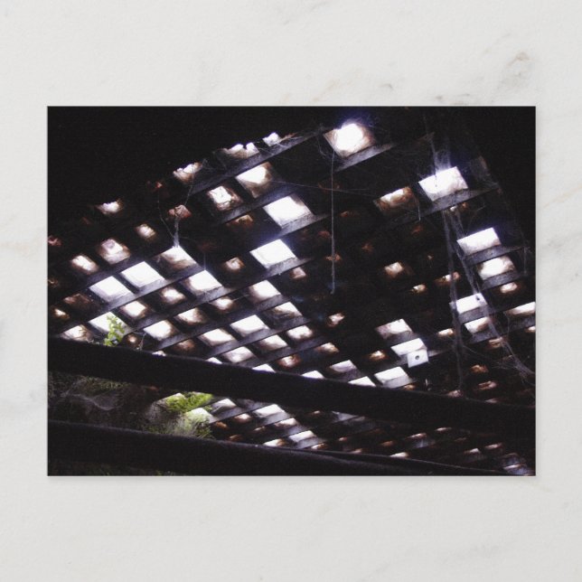 Cartão Postal Sidewalk Skylight a Partir De Baixo (Frente)