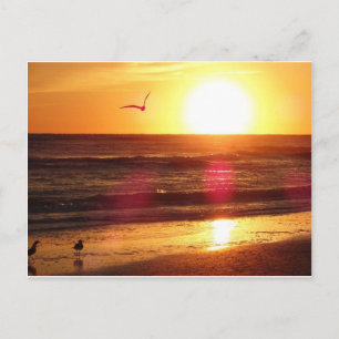 Cartão Postal Siesta Key Beach Sunset