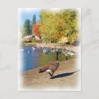 Cartão Postal Siga-me