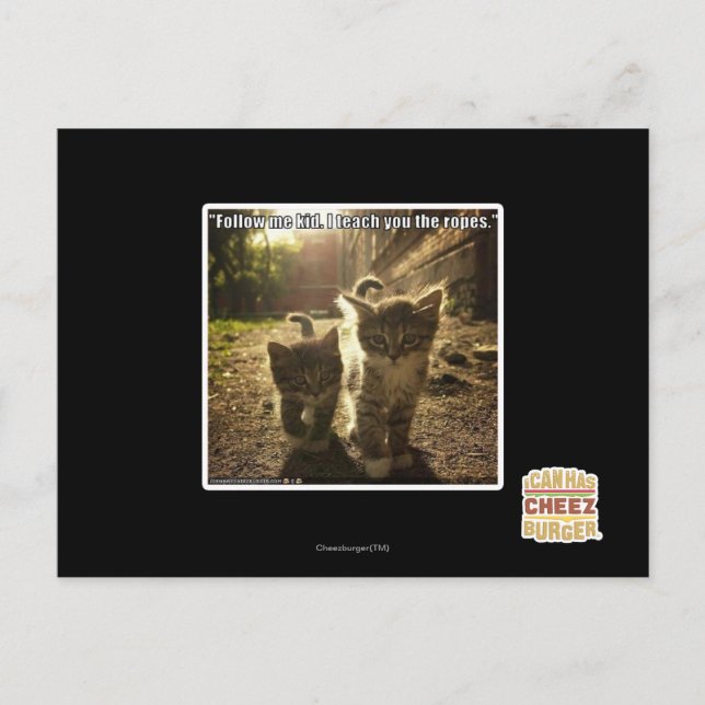 Cartão Postal Siga-me Kid (Frente)