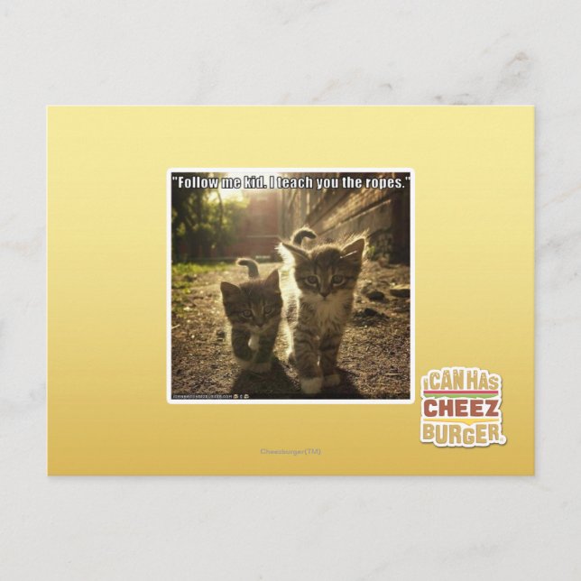 Cartão Postal Siga-me Kid (Frente)