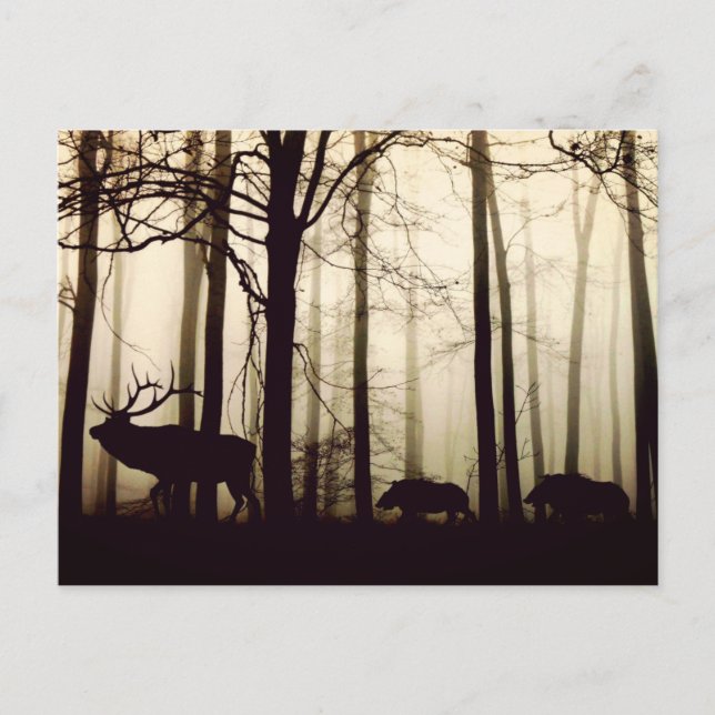 Cartão Postal Siga o líder (Frente)