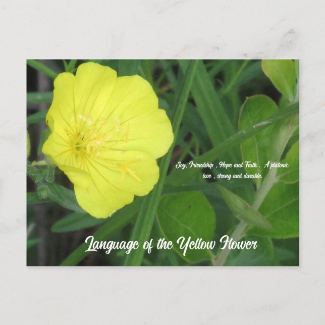 Cartão Postal Significado do Cartão-Postal Amarelo (Frente)