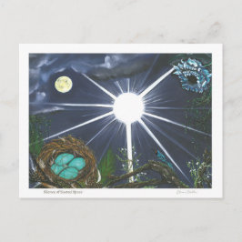 Cartão Postal Silence of Sacred Space