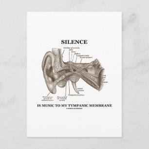 Cartão Postal Silêncio É Música Para Minha Membrana Tímpana