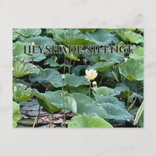 Cartão Postal Silêncio Lilyshade