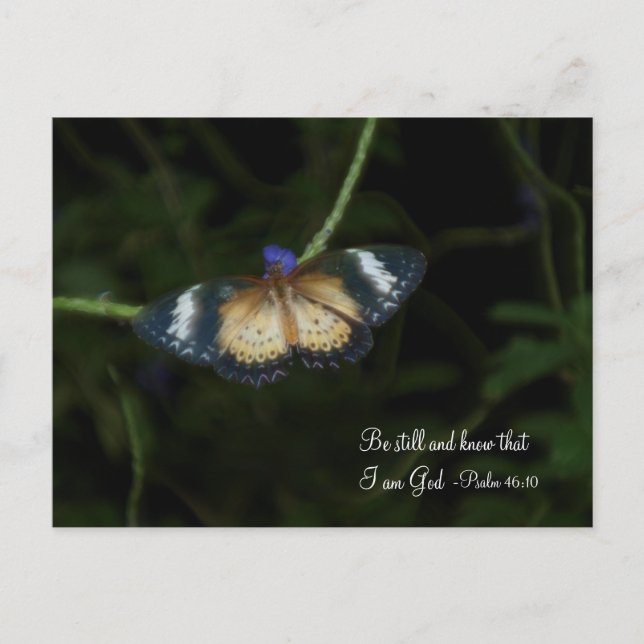 Cartão Postal Silencioso (Frente)