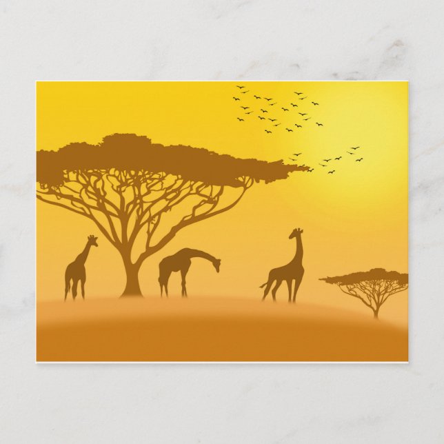Cartão Postal Silhouette Africa Sunset (Frente)