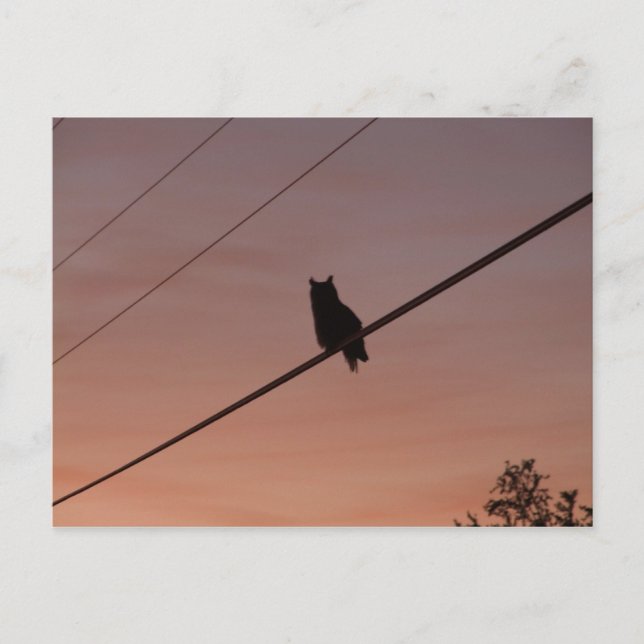 Cartão Postal Silhouette Beauty (Frente)