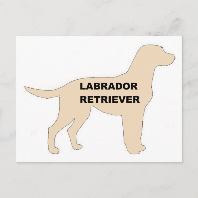 Cartão Postal Silhouette de nome amarelo LR (Frente)