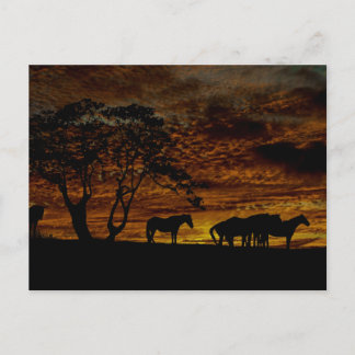 Cartão Postal Silhouette Sunrise
