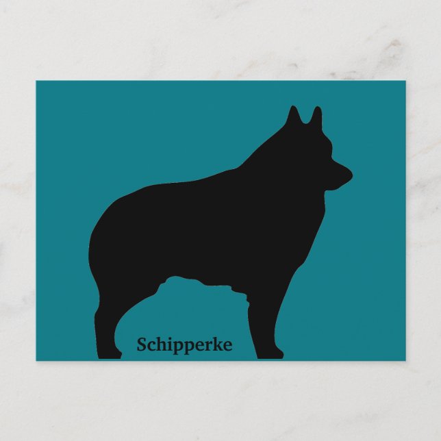 Cartão Postal Silhueta de cão Schipperke (Frente)