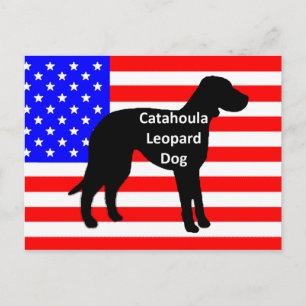 Cartão Postal silhueta de catahoula no nome da bandeira dos eua
