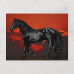 Cartão Postal Silhueta de cavalo ao pôr do sol