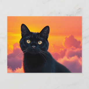 Cartão Postal Silhueta de Gato Preto ao Pôr do Sol