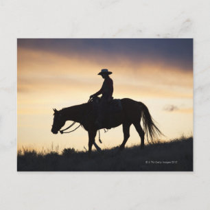 Cartão Postal Silhueta de uma vaqueira em seu cavalo contra o