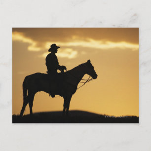 Cartão Postal Silhueta de vaqueiro a cavalo ao pôr do sol