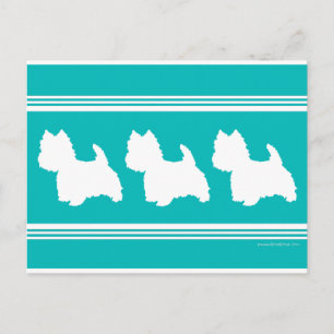 Cartão Postal Silhueta de Westie em Turquesa