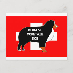 Cartão Postal silhueta do nome do cão de montanha bernês na band