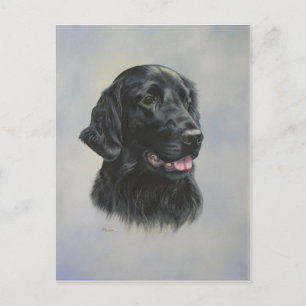 Cartão Postal Silka