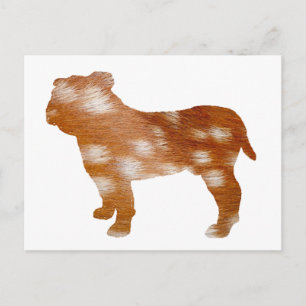 Cartão Postal silo de fole